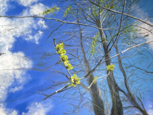 Marzo